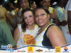 Bloco Skol Folia